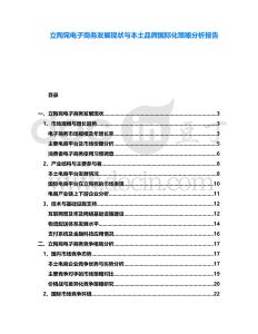 立陶宛電子商務(wù)發(fā)展現(xiàn)狀與本土品牌國際化策略分析報(bào)告