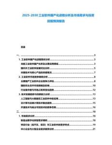 2025-2030工業(yè)軟件國(guó)產(chǎn)化進(jìn)程分析及市場(chǎng)需求與投資回報(bào)預(yù)測(cè)報(bào)告