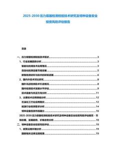 2025-2030壓力容器檢測檢驗技術研究及特種設備安全投資風險評估報告