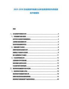 2025-2030文化旅游市場潛力分析及夜游項目與傳統景區升級報告