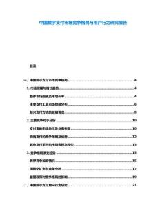 中國數字支付市場競爭格局與用戶行為研究報告