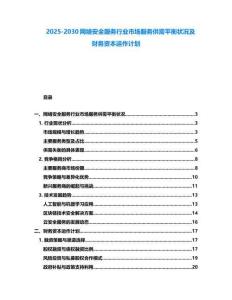 2025-2030網(wǎng)絡安全服務行業(yè)市場服務供需平衡狀況及財務資本運作計劃