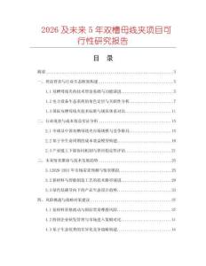 2026及未來5年雙槽母線夾項目可行性研究報告