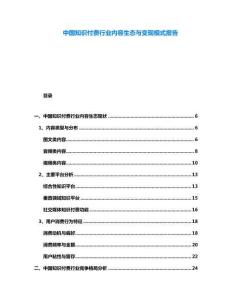 中國知識付費行業(yè)內(nèi)容生態(tài)與變現(xiàn)模式報告