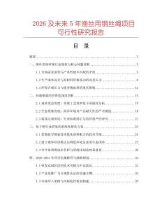 2026及未來5年漁絲用鋼絲繩項目可行性研究報告