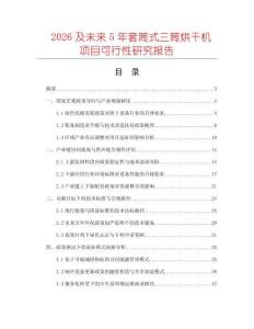 2026及未來5年套筒式三筒烘干機項目可行性研究報告