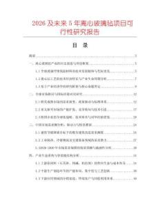 2026及未來(lái)5年離心玻璃氈項(xiàng)目可行性研究報(bào)告
