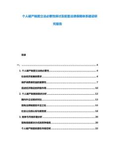 個人破產制度立法必要性探討及配套法律保障體系建設研究報告