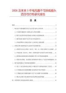 2026及未來5年電風扇不可拆線插頭項目可行性研究報告