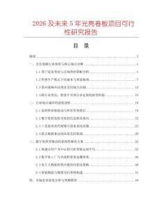 2026及未來5年光亮卷板項目可行性研究報告