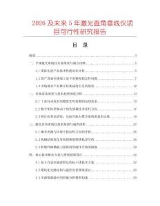 2026及未來5年激光直角垂線儀項目可行性研究報告