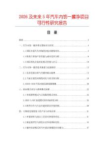 2026及未來5年汽車內(nèi)飾一擦凈項目可行性研究報告