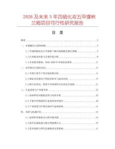 2026及未來5年四硫化雙五甲撐秋蘭姆項目可行性研究報告