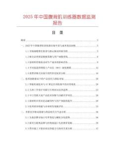 2025年中國(guó)腹背肌訓(xùn)練器數(shù)據(jù)監(jiān)測(cè)報(bào)告
