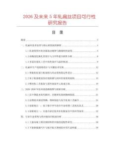 2026及未來5年軋扁絲項目可行性研究報告