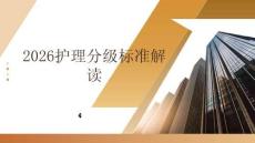 2026護(hù)理分級(jí)標(biāo)準(zhǔn)解讀