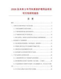 2026及未來5年汽車美容護理用品項目可行性研究報告