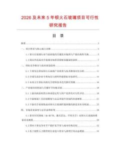 2026及未來5年鋇火石玻璃項目可行性研究報告
