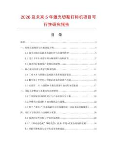 2026及未來5年激光切割打標(biāo)機(jī)項(xiàng)目可行性研究報告