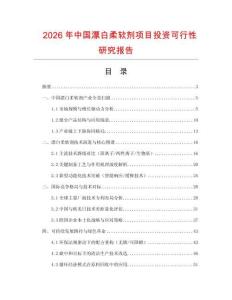 2026年中國漂白柔軟劑項(xiàng)目投資可行性研究報(bào)告