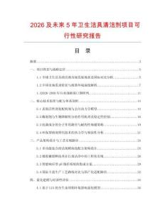2026及未來5年衛(wèi)生潔具清潔劑項目可行性研究報告
