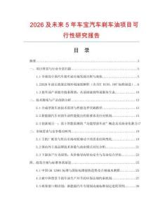 2026及未來5年車寶汽車剎車油項目可行性研究報告