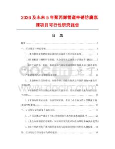 2026及未來5年聚丙烯管道帶銹防腐底漆項目可行性研究報告