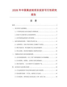 2026年中國黑皮線項目投資可行性研究報告