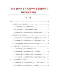 2026及未來5年紅色卡帶信封請柬項(xiàng)目可行性研究報(bào)告