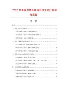 2026年中國應(yīng)急手電項目投資可行性研究報告