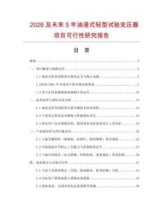 2026及未來5年油浸式輕型試驗變壓器項目可行性研究報告