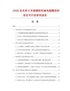 2026及未來5年超精密機(jī)械電腦雕刻機(jī)項目可行性研究報告