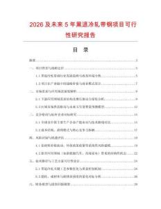 2026及未來(lái)5年黑退冷軋帶鋼項(xiàng)目可行性研究報(bào)告