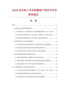 2026及未來(lái)5年拉緊器架子項(xiàng)目可行性研究報(bào)告