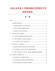 2026及未來5年銅包鋼軋花網(wǎng)項目可行性研究報告