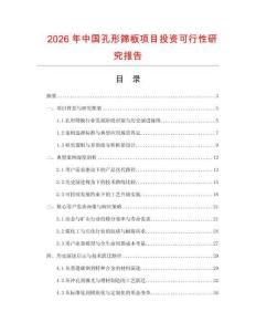 2026年中國孔形篩板項目投資可行性研究報告