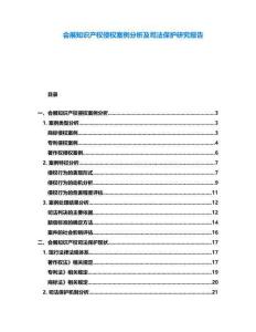 會(huì)展知識(shí)產(chǎn)權(quán)侵權(quán)案例分析及司法保護(hù)研究報(bào)告