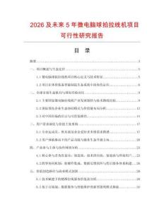 2026及未來5年微電腦球拍拉線機項目可行性研究報告