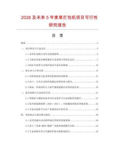 2026及未來5年麥草打包機項目可行性研究報告