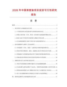 2026年中國茶壺墊項(xiàng)目投資可行性研究報(bào)告