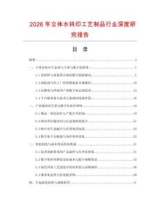 2026年立體水轉(zhuǎn)印工藝制品行業(yè)深度研究報(bào)告