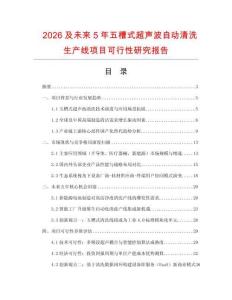 2026及未來5年五槽式超聲波自動清洗生產(chǎn)線項目可行性研究報告