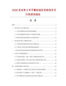 2026及未來5年平整機液壓系統(tǒng)項目可行性研究報告