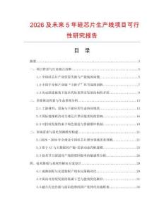 2026及未來5年硅芯片生產線項目可行性研究報告