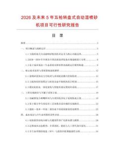 2026及未來5年五槍轉盤式自動濕噴砂機項目可行性研究報告
