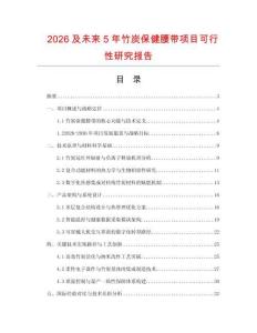 2026及未來(lái)5年竹炭保健腰帶項(xiàng)目可行性研究報(bào)告