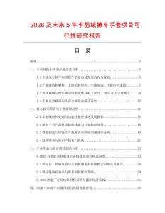2026及未來(lái)5年羊剪絨擦車(chē)手套項(xiàng)目可行性研究報(bào)告