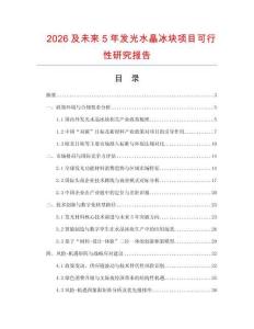 2026及未來5年發(fā)光水晶冰塊項(xiàng)目可行性研究報(bào)告