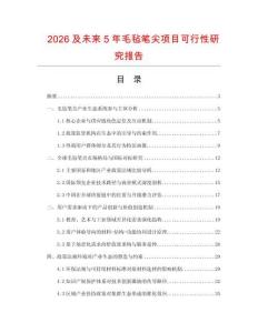 2026及未來5年毛氈筆尖項目可行性研究報告