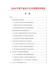 2026年速干盤發(fā)巾行業(yè)深度研究報(bào)告